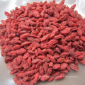 Goji Berries Ningxia Dry Goji Berries Organic Goji Berry